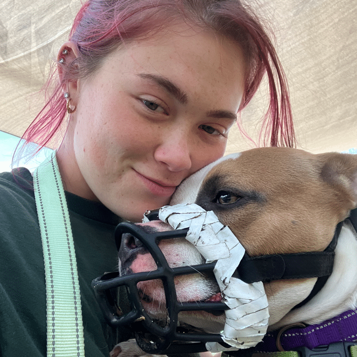 Person hugs muzzled dog under umbrella shade.